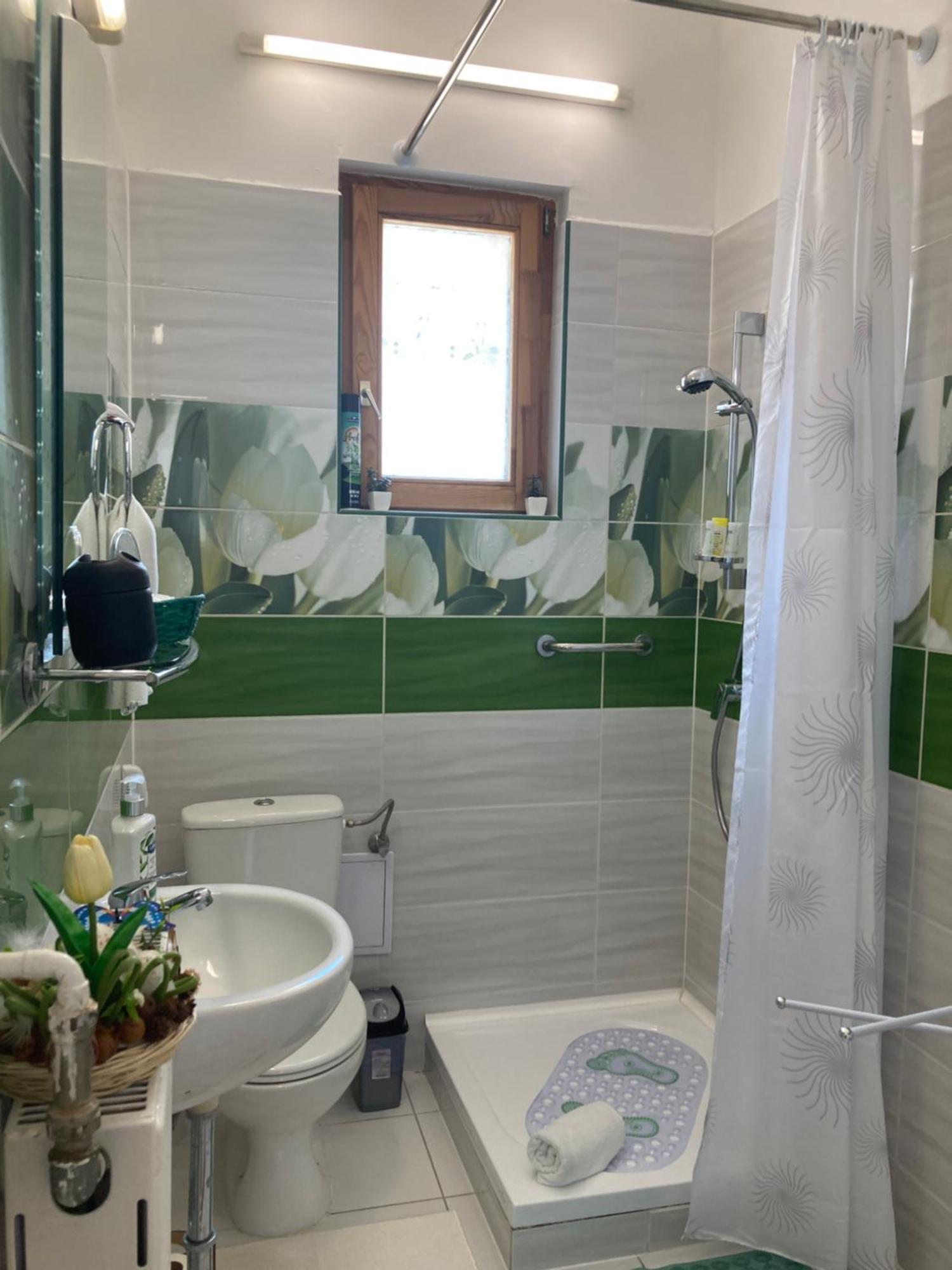 דירות סגד Tavaszpart Vendeghaz מראה חיצוני תמונה